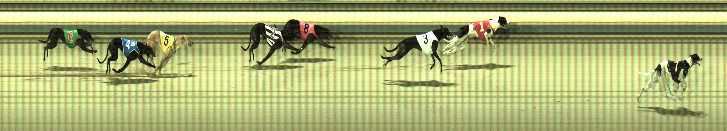 Photo finish for Sale Race 4