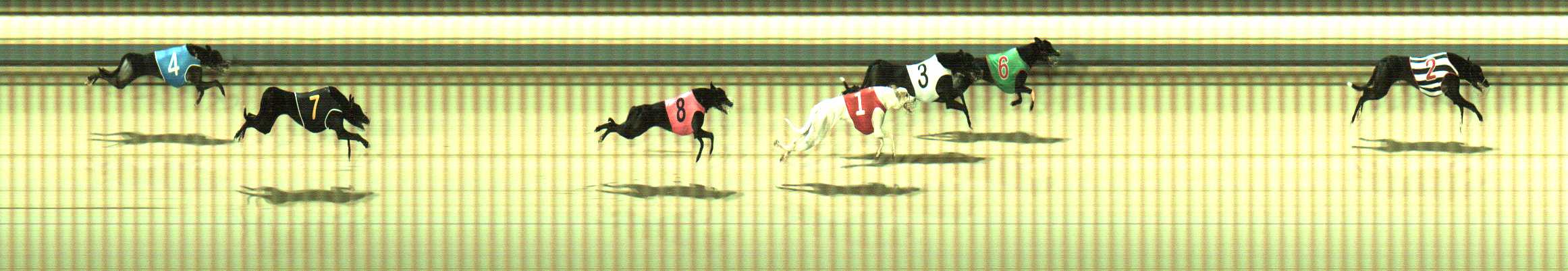 Photo finish for Sale Race 5