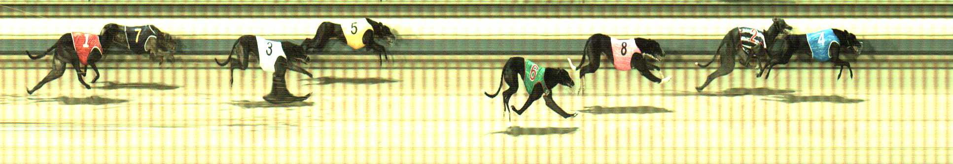 Photo finish for Sale Race 7