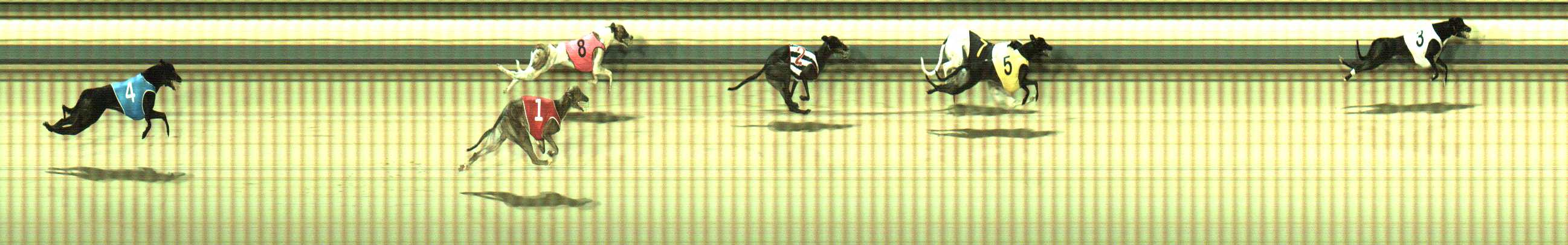 Photo finish for Sale Race 9