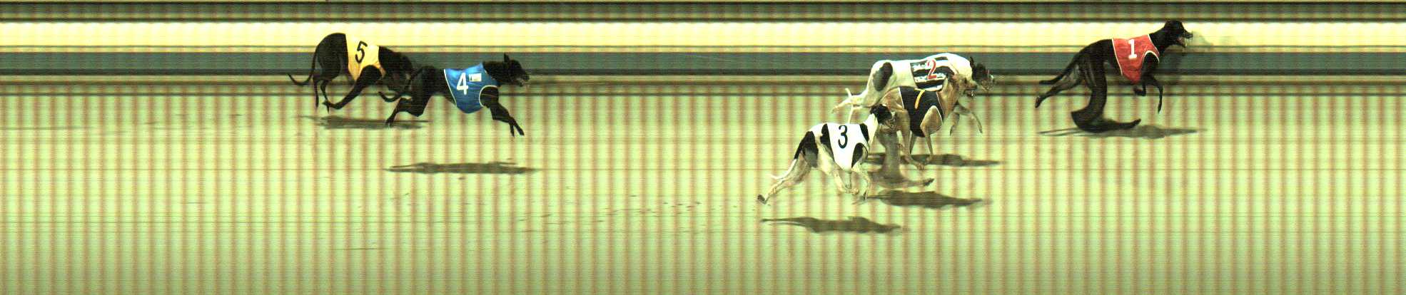 Photo finish for Sale Race 10