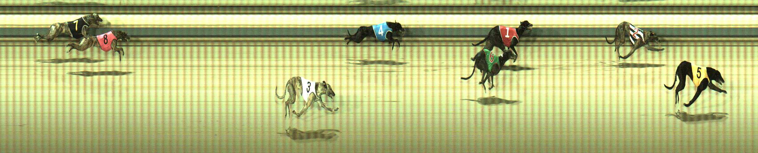 Photo finish for Sale Race 11