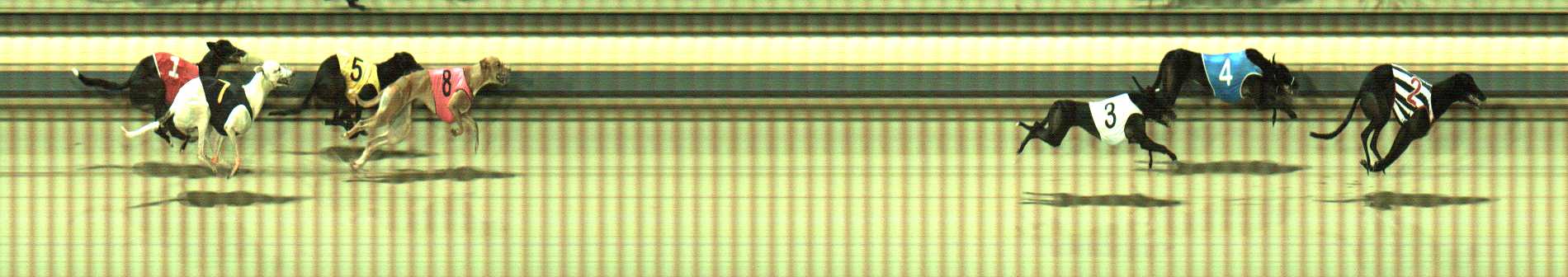 Photo finish for Sale Race 12
