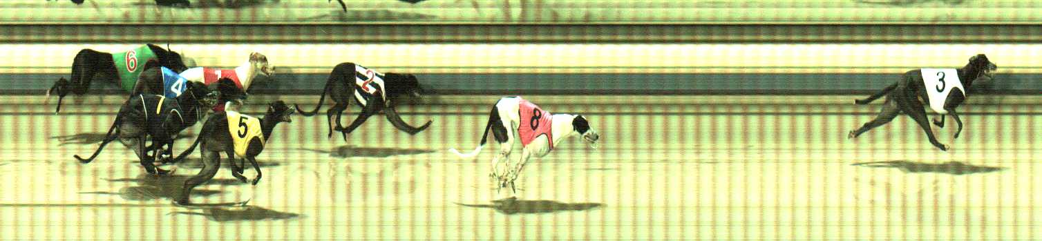Photo finish for Sale Race 2