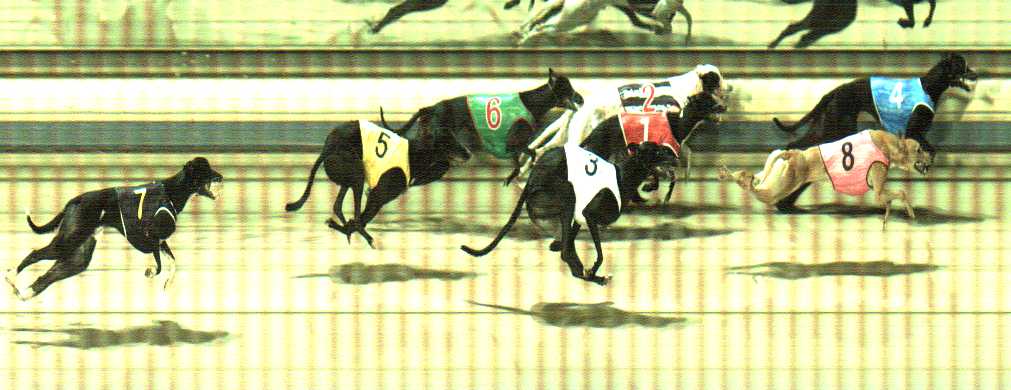 Photo finish for Sale Race 3