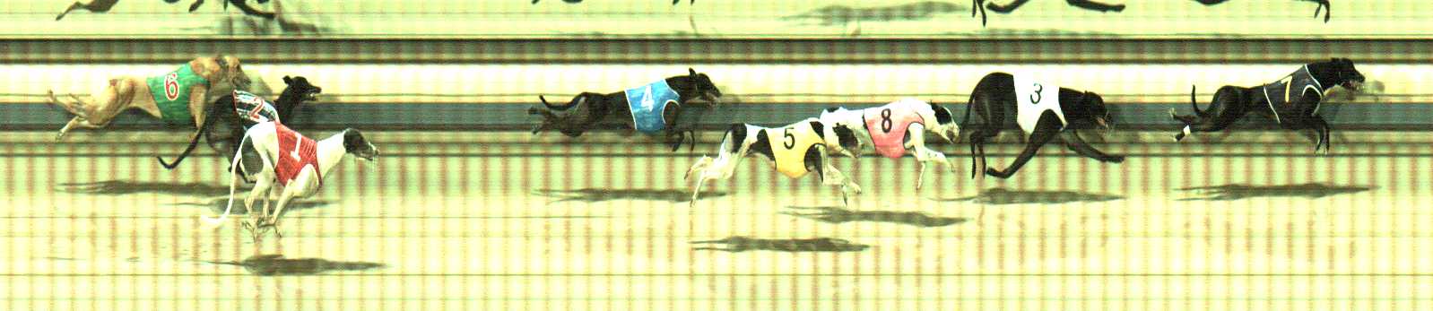 Photo finish for Sale Race 4