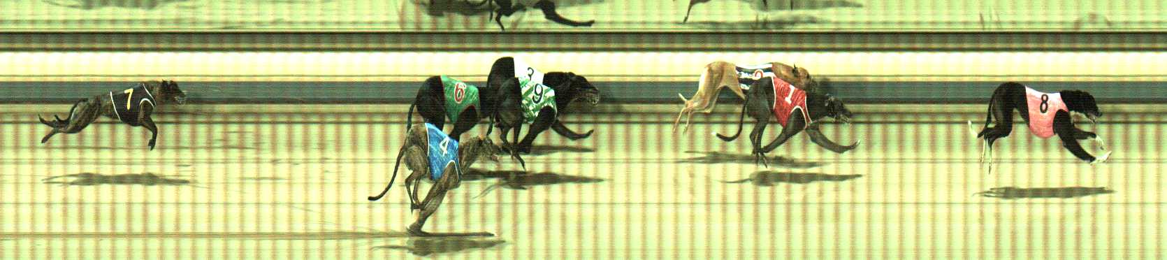 Photo finish for Sale Race 5