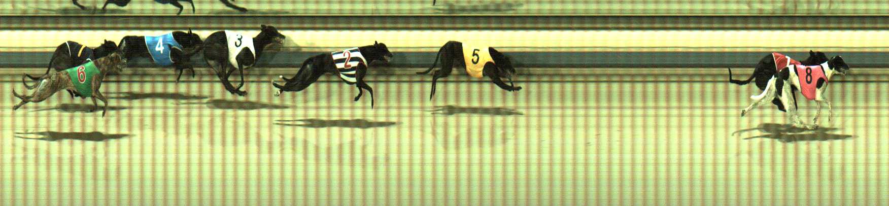 Photo finish for Sale Race 6
