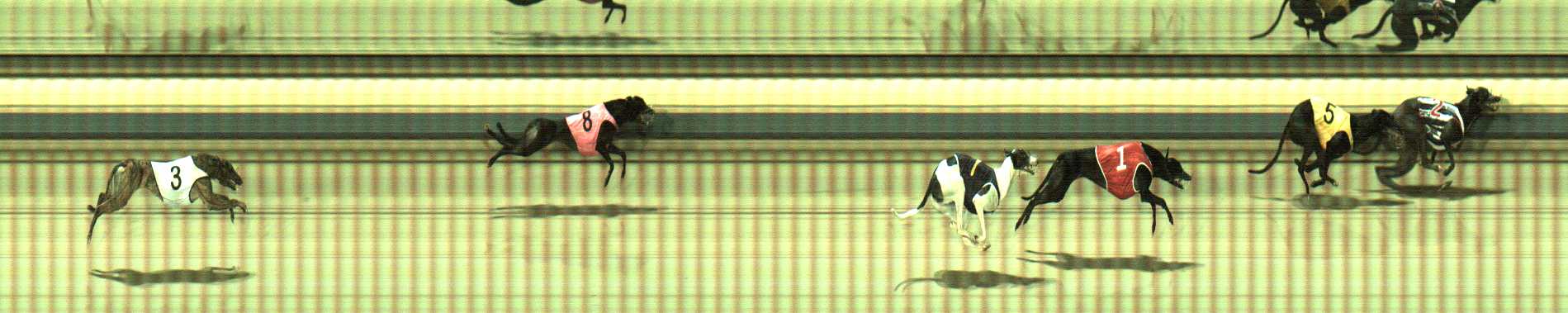 Photo finish for Sale Race 7
