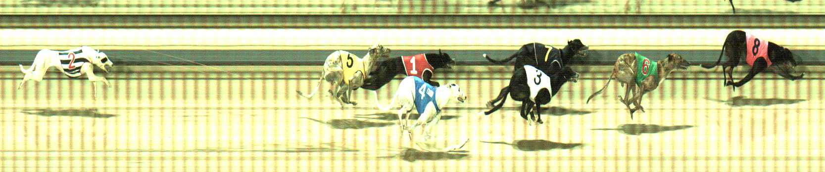 Photo finish for Sale Race 8