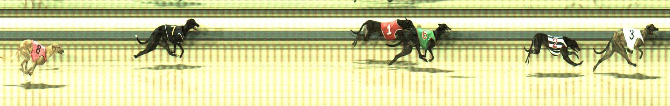 Photo finish for Sale Race 9