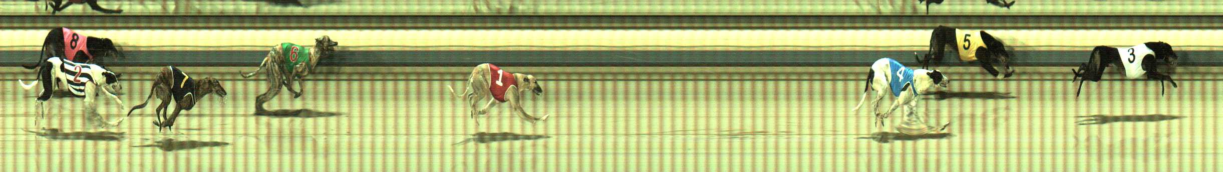 Photo finish for Sale Race 11