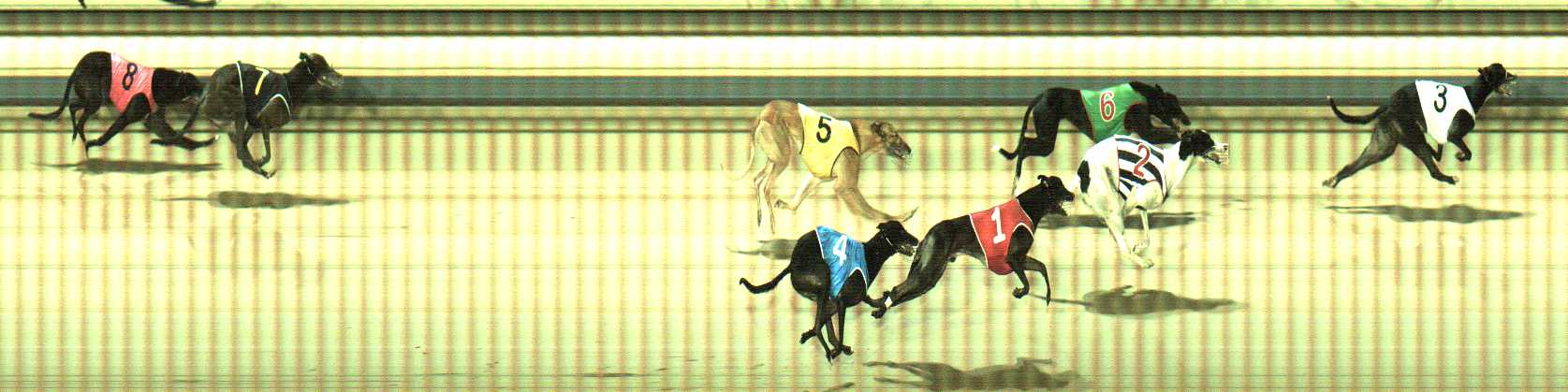 Photo finish for Sale Race 12
