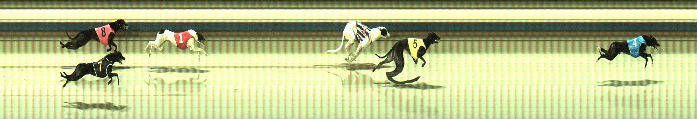 Photo finish for Sale Race 9