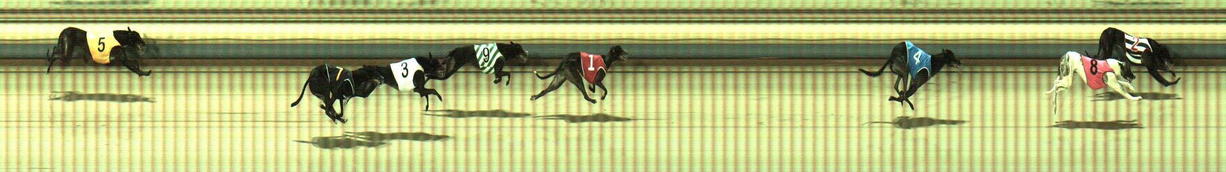 Photo finish for Sale Race 3