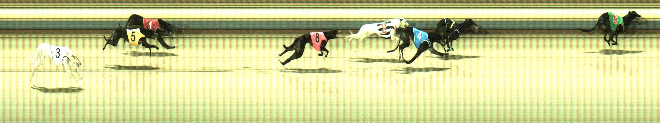 Photo finish for Sale Race 4