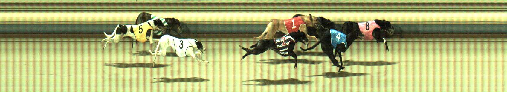 Photo finish for Sale Race 6
