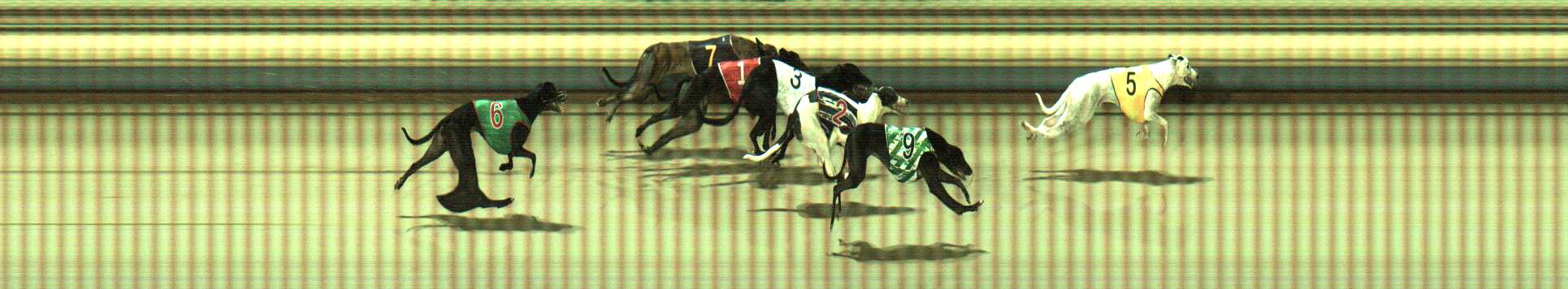 Photo finish for Sale Race 7