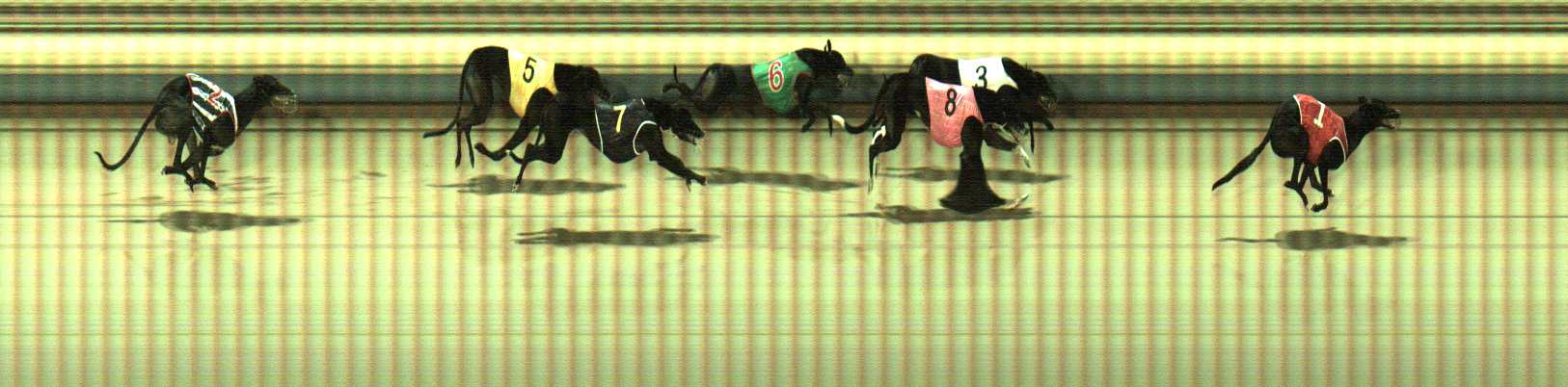 Photo finish for Sale Race 10