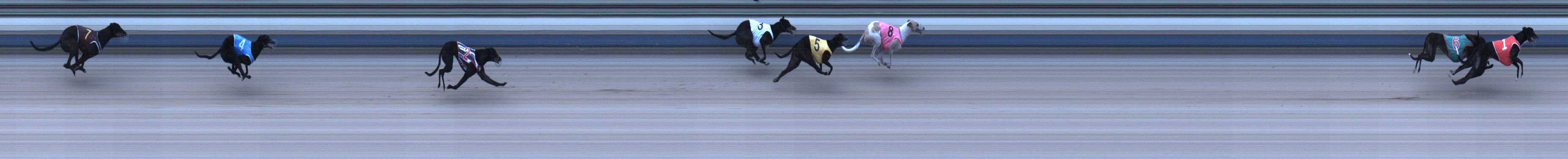 Photo finish for Sale Race 1