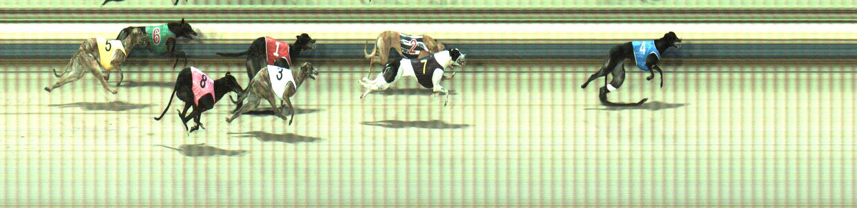 Photo finish for Sale Race 2