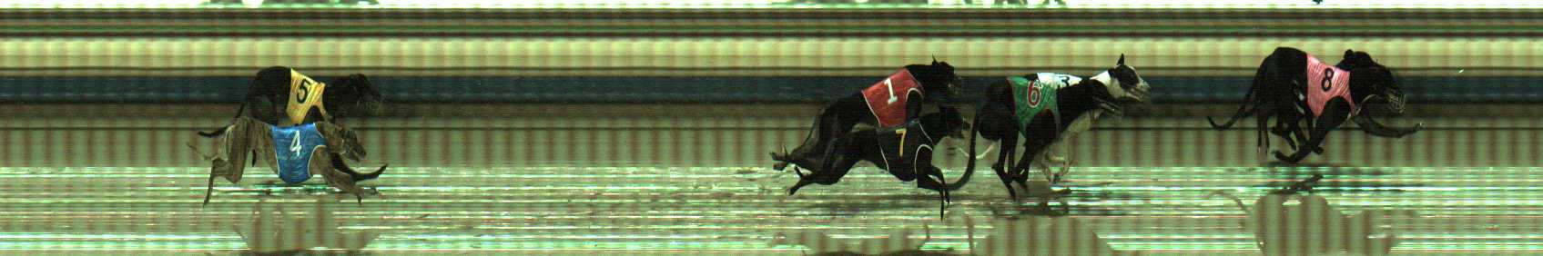 Photo finish for Sale Race 3