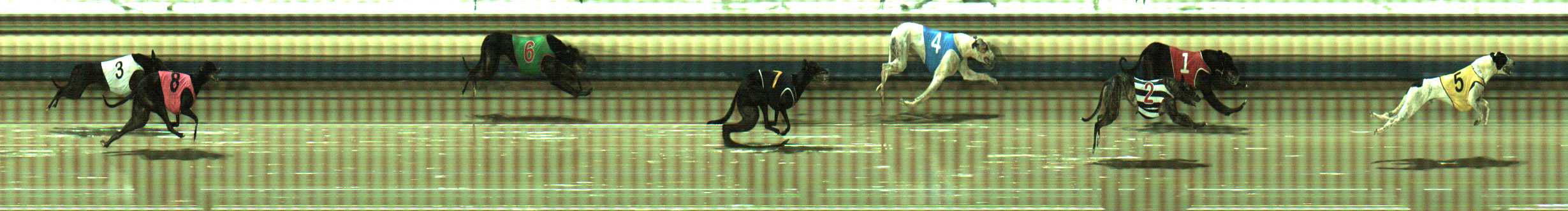 Photo finish for Sale Race 5
