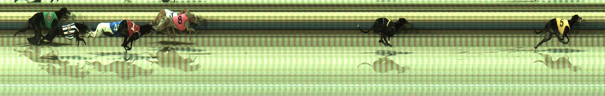 Photo finish for Sale Race 6