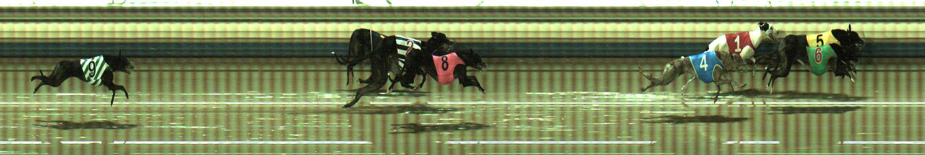 Photo finish for Sale Race 7