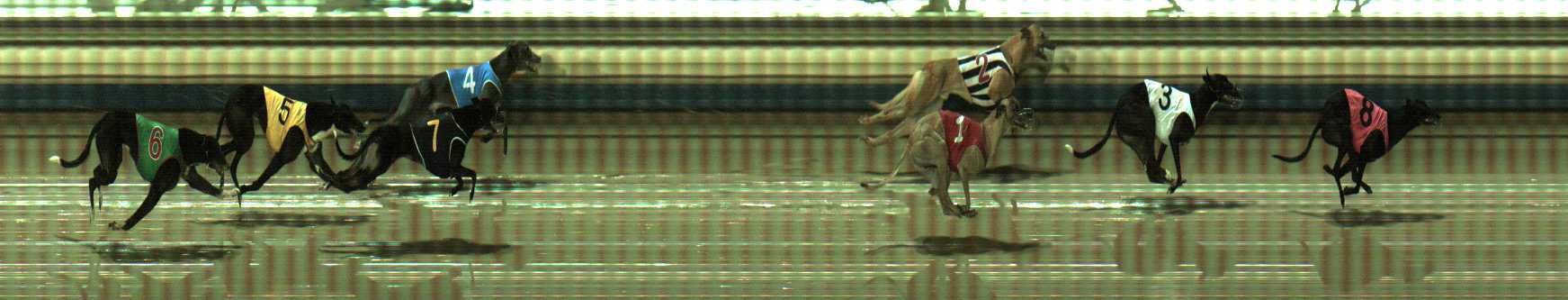 Photo finish for Sale Race 8
