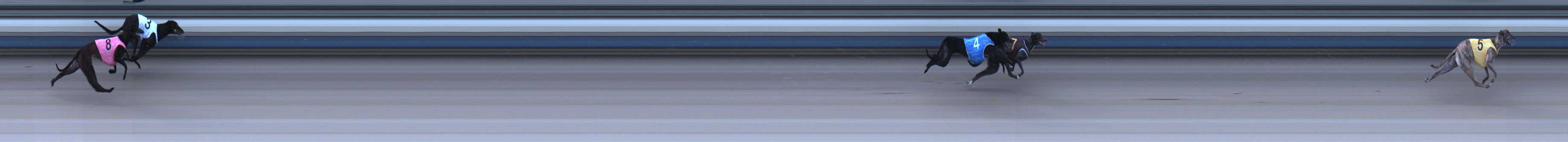 Photo finish for Sale Race 4