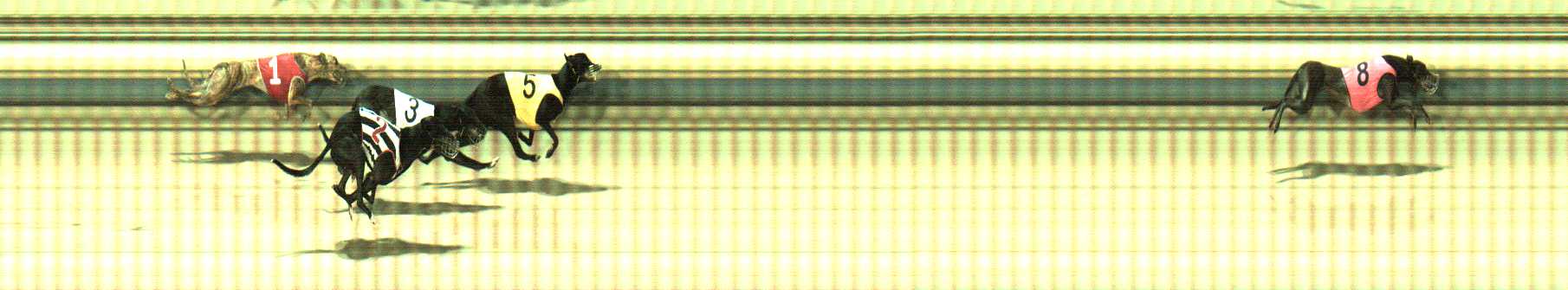Photo finish for Sale Race 3