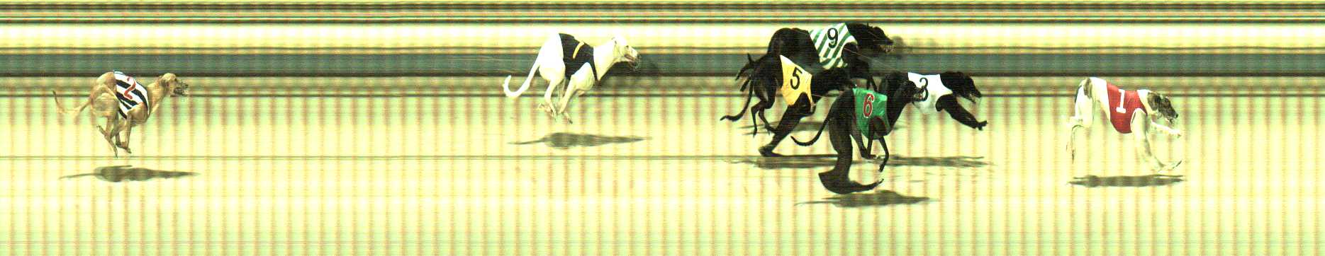 Photo finish for Sale Race 4