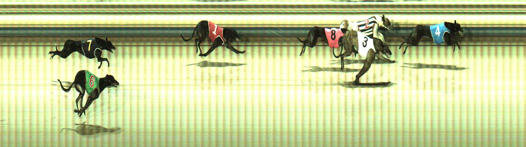 Photo finish for Sale Race 5