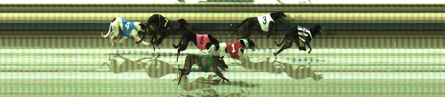 Photo finish for Sale Race 7
