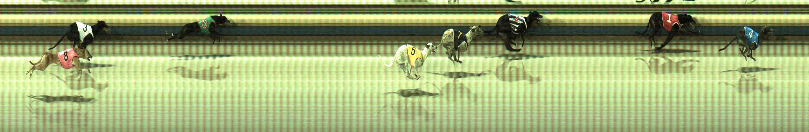 Photo finish for Sale Race 12