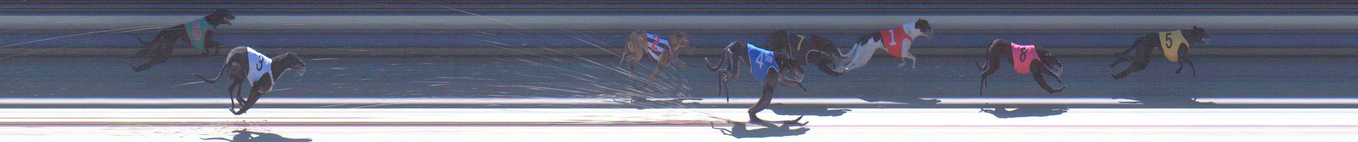 Photo finish for Sale Race 2