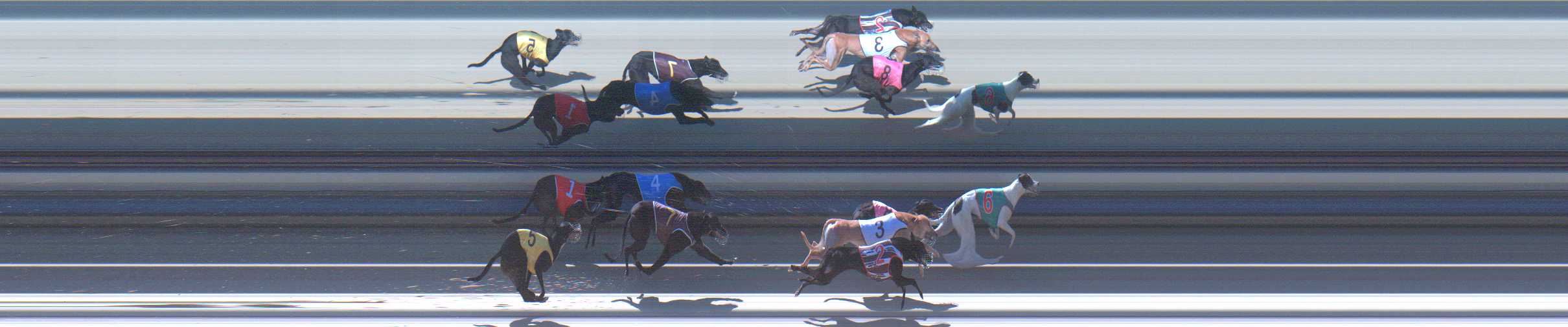 Photo finish for Sale Race 3