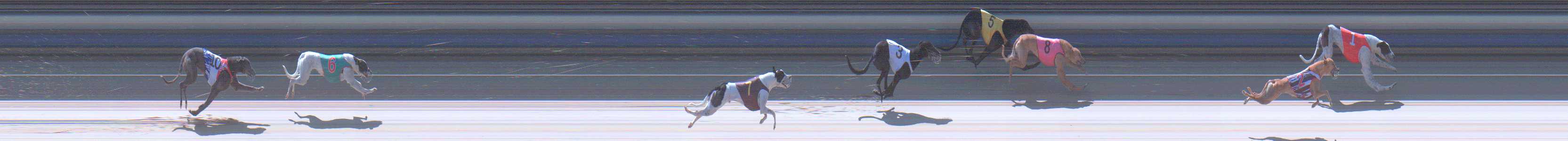 Photo finish for Sale Race 4