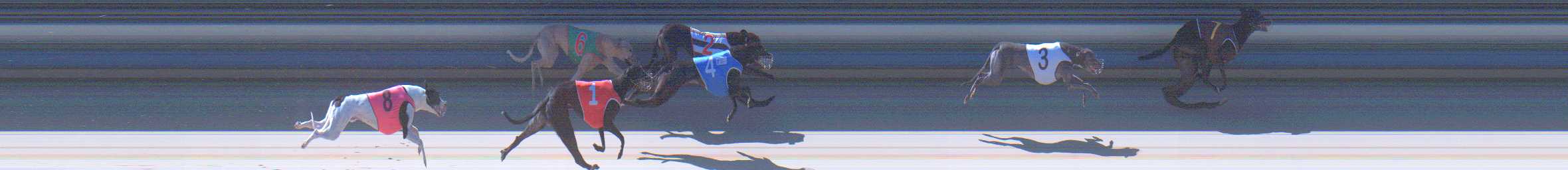 Photo finish for Sale Race 7