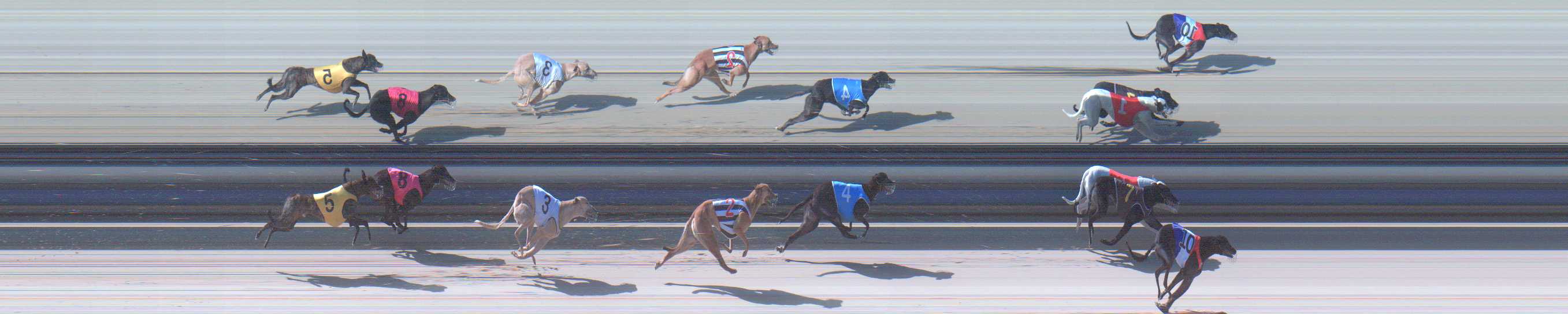 Photo finish for Sale Race 10