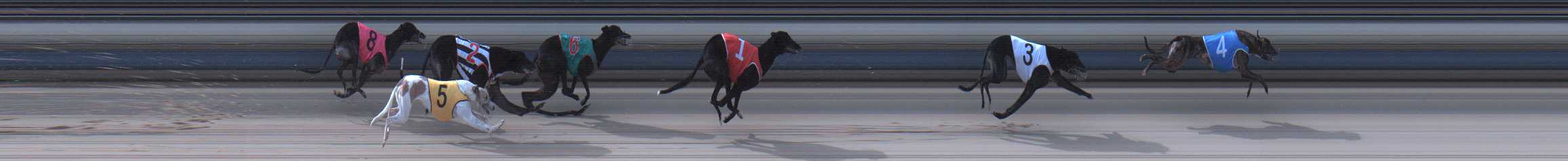 Photo finish for Sale Race 12