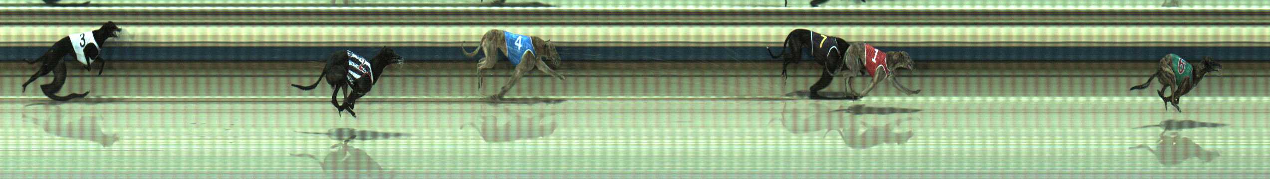 Photo finish for Sale Race 2