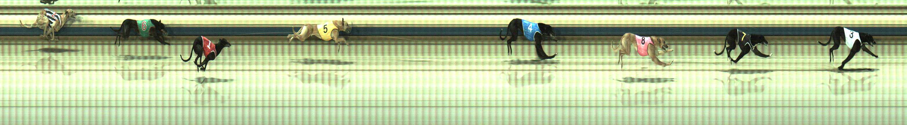 Photo finish for Sale Race 3