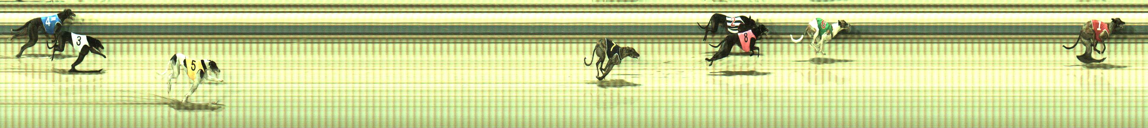 Photo finish for Sale Race 6