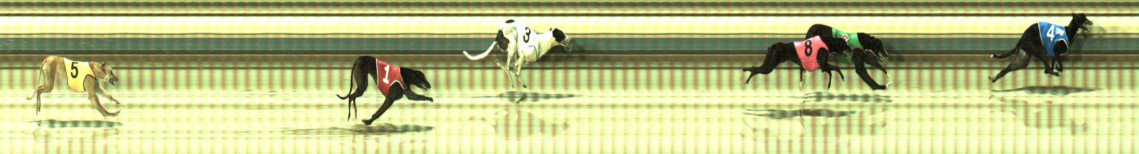 Photo finish for Sale Race 9