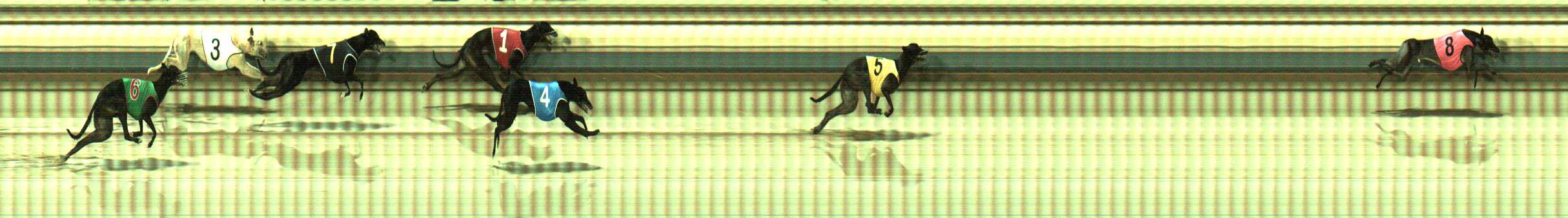 Photo finish for Sale Race 12