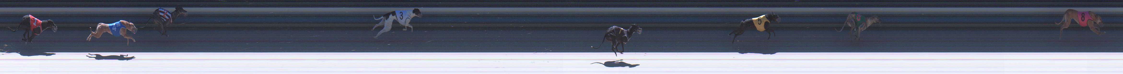 Photo finish for Sale Race 1