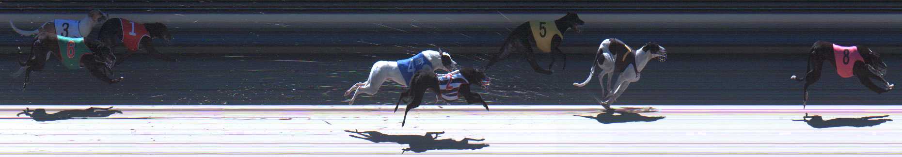 Photo finish for Sale Race 2