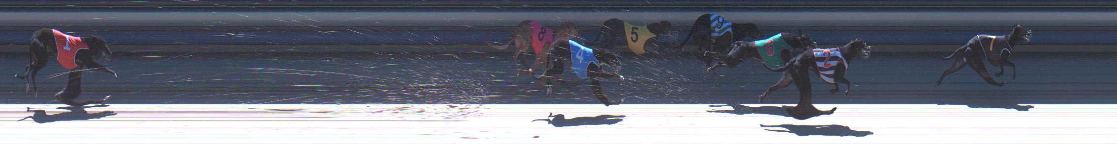 Photo finish for Sale Race 3